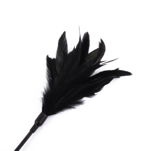 sm sexy feather long shot couple flirting slap love whip alternative sex training toy adult supplies SP