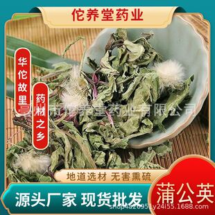 �ѹ�Ӣ��ș�����l���w��ɢ�b��500�˲�2������]�ɿɖ|���خa���