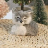 Sleeping Fox Right - Gray