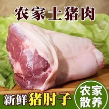 猪肘子土散养生猪肉猪蹄膀新鲜前肘鲜肘肉批发混批工厂代发速卖通