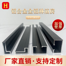 极窄一字型干湿分离浴室下沉玻璃隔断拉丝枪灰色铝合金淋浴房型材