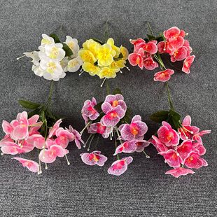 ���Q���滨13�^�����mС���������c����ӆ�鲼�üҾ��b��