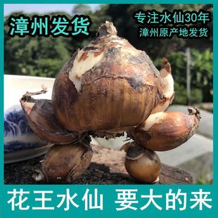 ��������ˮ�ɻ����� �ؼ���N�� ����ˮ�ɴ��򻨵�ˮ���_������