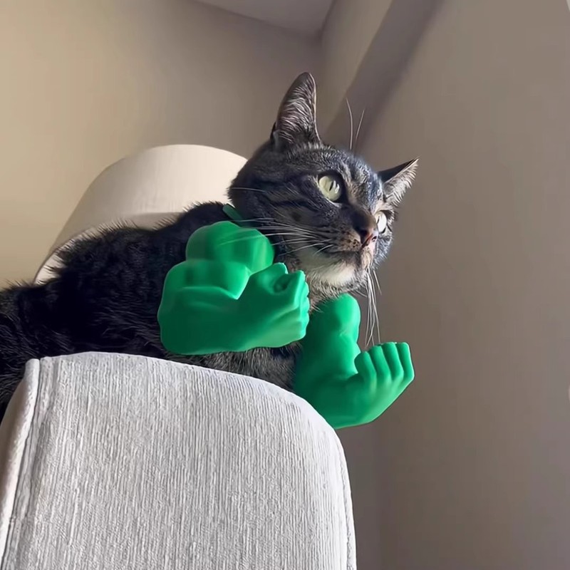 跨境爆款 Cat muscle arm decoration 浩克手臂猫咪肌肉手臂装饰|undefined