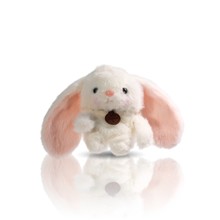 mApro2/pro+CoAClip 2oA5i/6iëqͨ