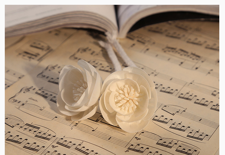 Core Rose Tongcao Flameless Dried Volatile Accessories Diffuser Aromatherapy Artificial Flower_voghion.com