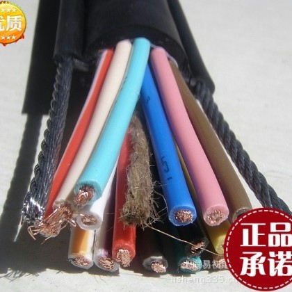 双钢丝电动葫芦随行起重机线缆 RVV2G 16*1.0MM2 葫芦电缆国标