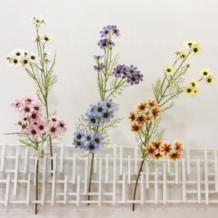 ���滨��֦СҰ�� �S����Ʒ�F؛�ٻ�������c�Ҿ��b廨�[��