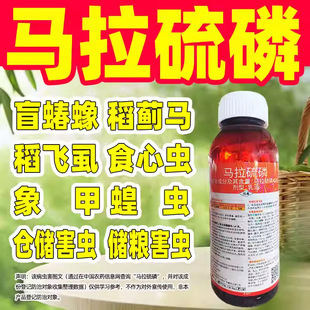 45%�R������ä��󭌣�Ú��x������ä��󭌣��ș�R�������Ʒ�r�Y