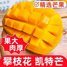 �P��â���Ĵ���֦���P��â���Fժ�F�l���r��ժ���rˮ���ִ�����