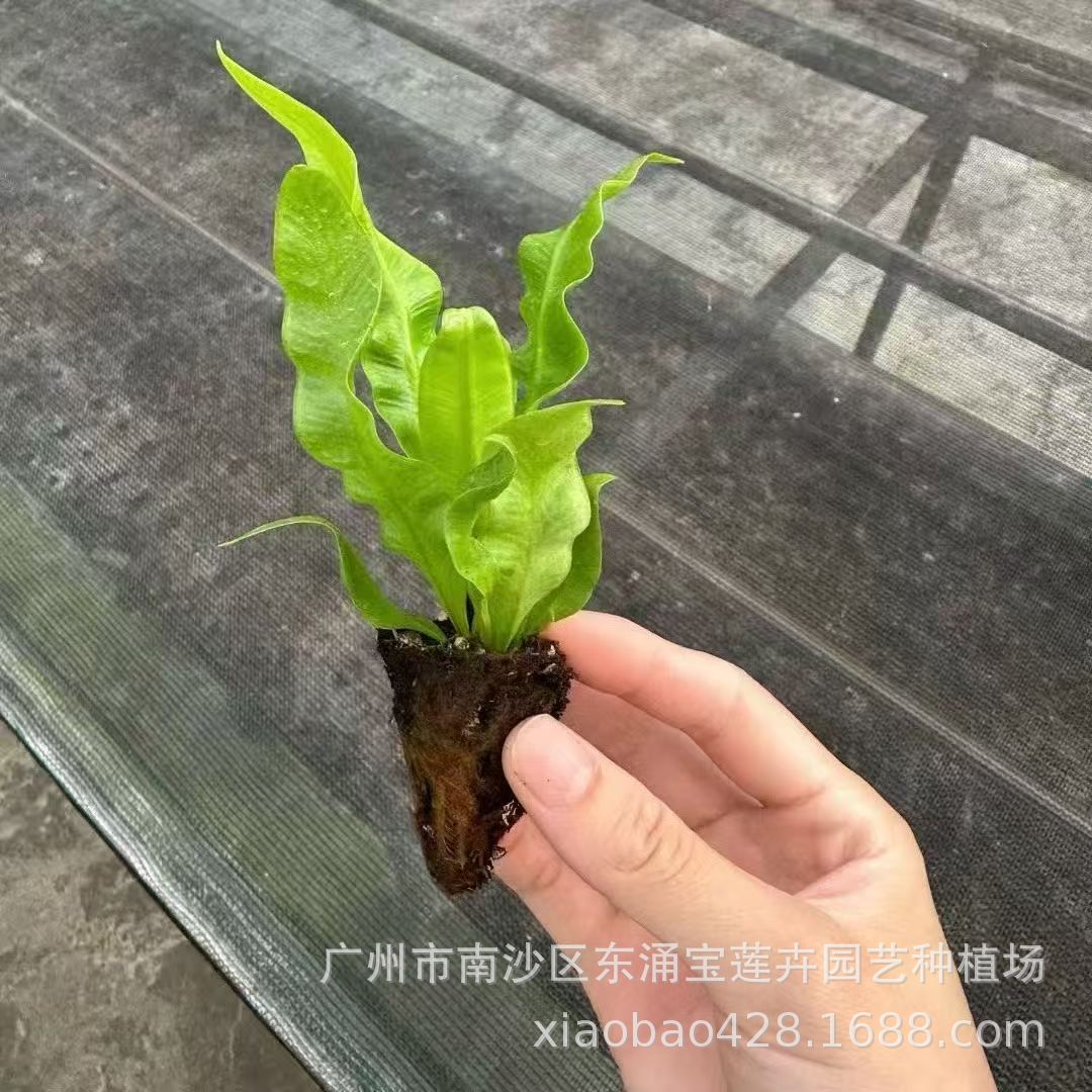 389efd974e8f127d4009fa599d82e9