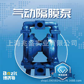 供应博济特气动隔膜泵 铅合金四氟材质QBY-40
