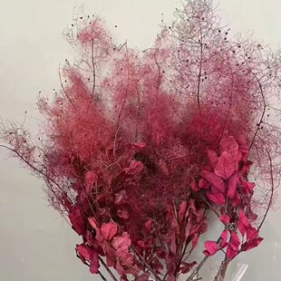 �������F�������S�������l�F؛��Y�Ҿ��b�ˇ�������ÿ羳���l