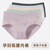 Treatment of high -waisted high -waisted maternity underwear sizes random flower type safety pants random order delivery site stalls