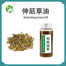 伸筋草油植物单方精油按摩护肤日化原料厂家批发