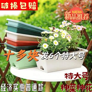 ����̎���􂐷N�����L�l���L���λ����̨�N�ˌ����L�l����F؛