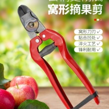 �O���C�͹��Ѽ��C�Ӽ�����������ժ����Ě�ȹ������ɹ�����֦����