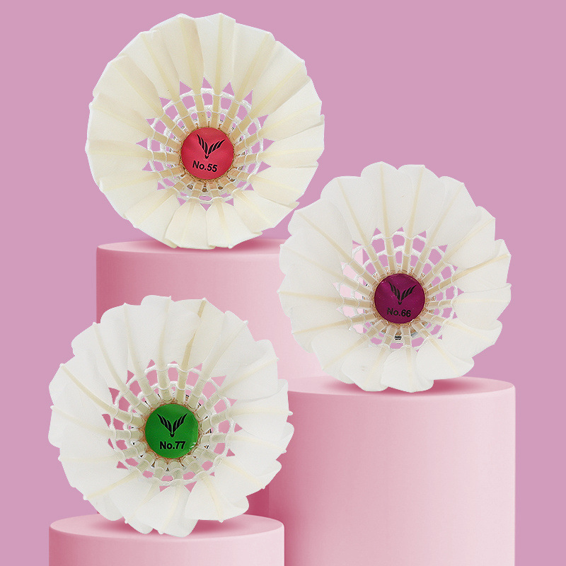 5c42852c-f87e-4c34-9579-f52dbf48b4b2.jpe