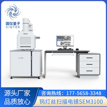 推荐钨灯丝扫描电镜SEM3200半导体检测电子显微镜 场发射定金