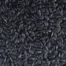 2025���º�����С���ӿ������Ϳ����W�^�Bʳ�}��Z���Z�ڹ����B�Z