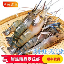 �r���_�����r��ˮ���r���r���r���^�r���r���r������r�����r���r