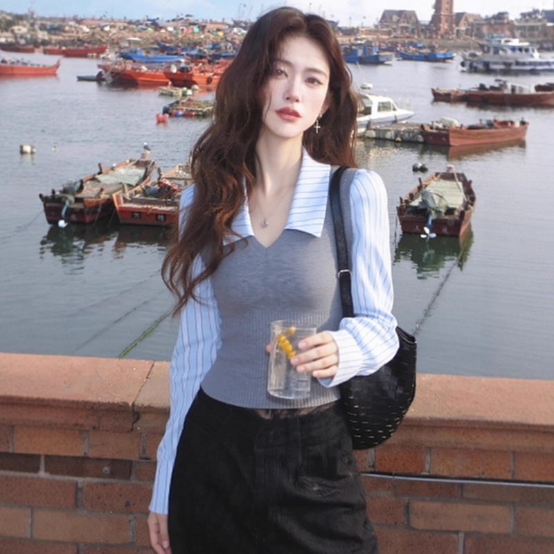 Unique and Super Nice-Looking Single Top, Korean Style Niche, Non-Contrasting Style, Fashionable Age-Reducing Work Clothing Style Blue Stripesd Shirt Autumn