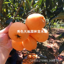 �޽ӽ���R�������tɳ���˘����ϱ���ͥԺ���Ե��ԷNֲ���˹���