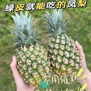 ���϶����P���������Ƥ֮������ɽ�����P���荶������rˮ���l؛