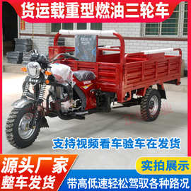 厂家生产  燃油三轮摩托车农用车货运车载重王原厂动力