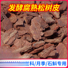 �ɘ�Ƥ�����K�l�������m��������|�FƤʯ��ֲ���m�ƠI�B��