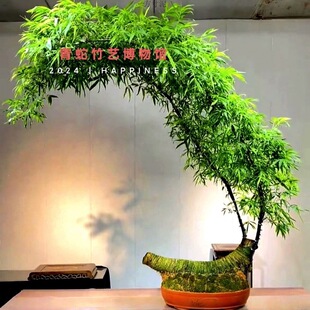 ���F�������Ʒ�Gֲ����С�~�{���Ϙ������҃ȳ�Ʒ��Ʒ�����l���l