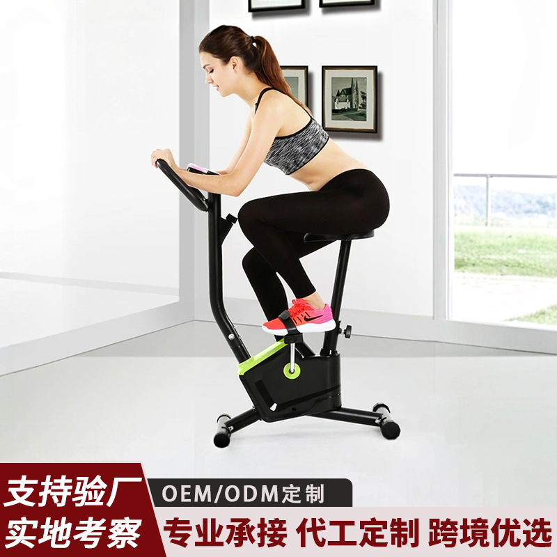 Dynamic Exercise Bike for Home Use, Fitness Equipment, Indoor Bicycle, Silent Magnetic Control Pedal Bike, Aerobic Exercise