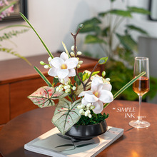 ����ʽ���滨�Gֲ�辰�ٻ��Ҿӿ͏d����̦�\�廨�մ������b[��