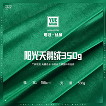 现货350g阳光天鹅绒面料 天鹅绒面料 时装靠垫睡衣礼服裙丝绒面料