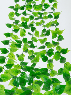 �G�~�b��ٗl��������~���滨�ټپG�}�~���~�ӿ��{��ˮ�ܵ��ړ�