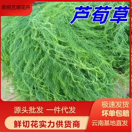 鲜切花