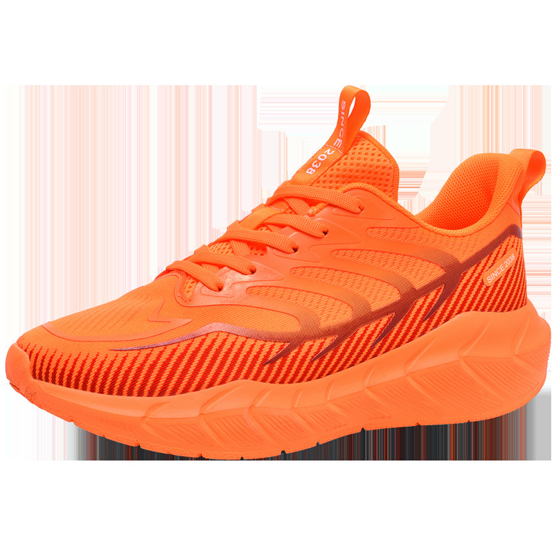 생기 넘치는 오렌지