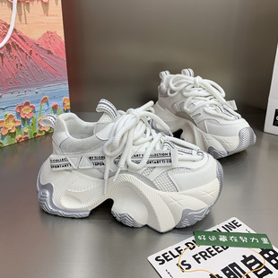 Mesh Thick-Soled Dad Shoes for Women in Spring and Summer New Fashion Breathable Versatile Lace-Up Platform Sole Sports and Leisure Shoes