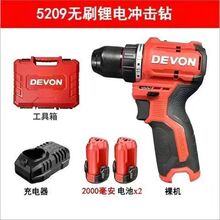 ����5208����5209�oˢ�ڴ��12V�oˢ��50ţ��늄���荶๦��