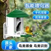 Cross border intelligence Bird Feeder solar energy 4G Low power consumption Birds Distinguish Bird Watching Pets camera