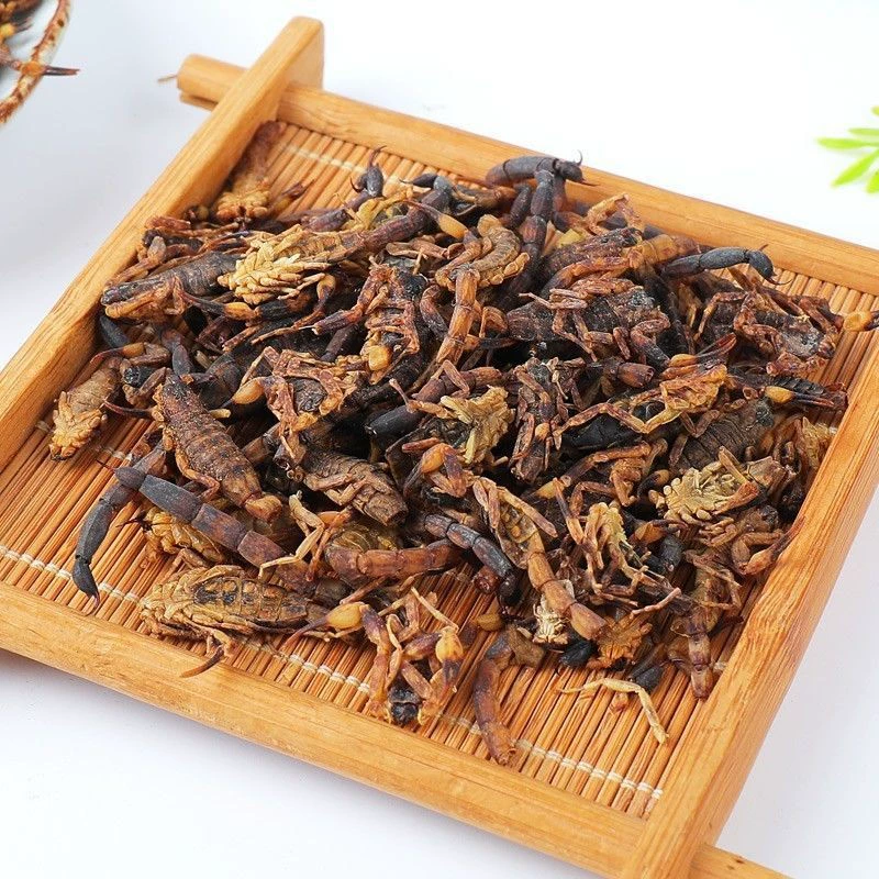 Лекарственные травы Скорпион Червь Скорпион Сушеные товары в воде Скорпион Весь Скорпион Вино Суп Бесплатная шлифовка