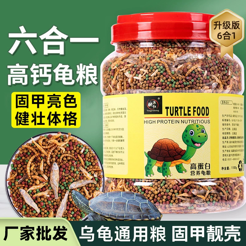 Корм для черепах, твердая броня, яркий цвет, корм для черепах с высоким содержанием кальция, корм для молодых черепах, высокобелковый корм для крокодиловых черепах, корм для черепах с желтым краем, общая пища для черепах, оптовая продажа