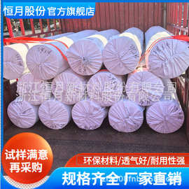 ES 亚光无纺布 食品过滤无纺布 不掉毛 热封粘合