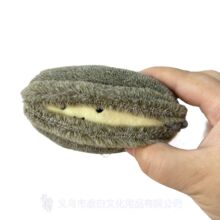 VЦ����ë�q��߲�����������ż��փ�ͯŮ���ɐ۔[�����м�����