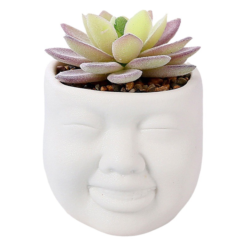 Maceta de cerámica estilo nórdico, para plantas suculentas de simulación – decoración creativa para salón, venta transfronteriza.