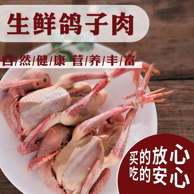 Fresh and Nutritious Young Pigeon Meat for Wholesale, Freshly Killed Young Pigeon Meat for Consumption
