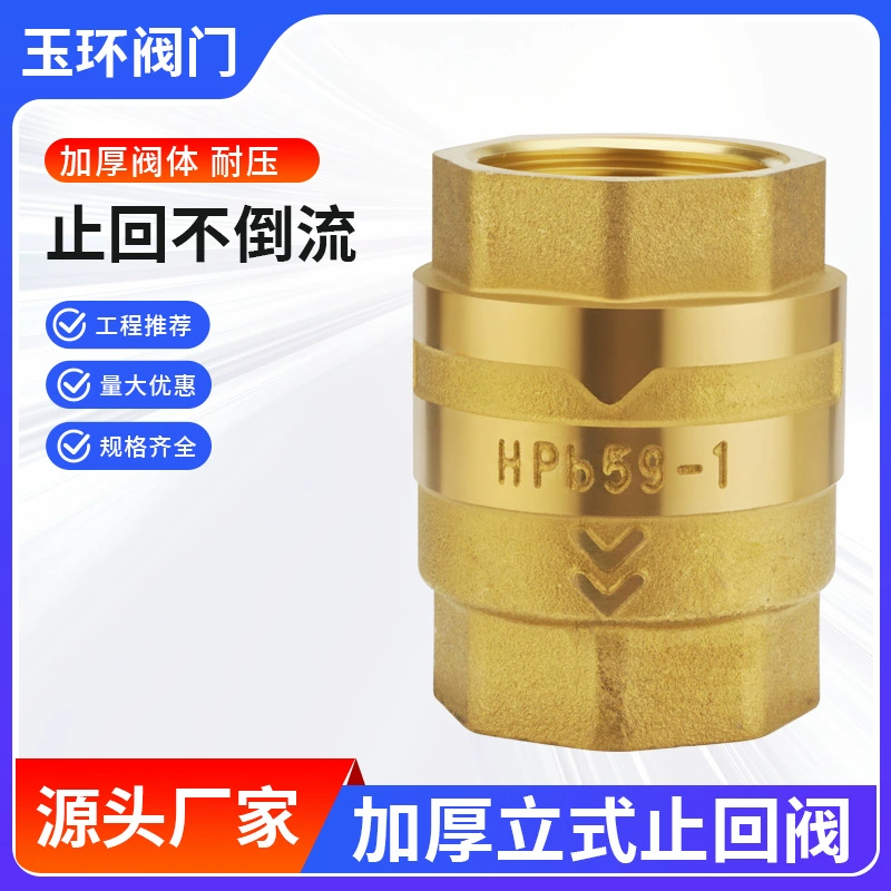 59-1 сверхмощный утолщенный вертикальный обратный клапан, полностью медный, с двойной внутренней резьбой, пружинный односторонний клапан из нержавеющей стали, обратный клапан для воды