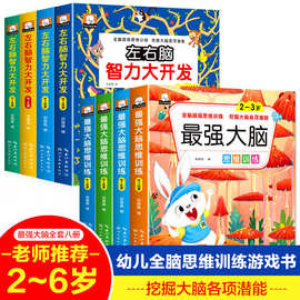 儿童左右脑智力大开发3岁到6岁幼儿园数学启蒙逻辑思维训练早教书