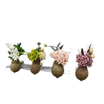 Natural Fruit Plant Dried Flower | Car Perfume Aromatherapy