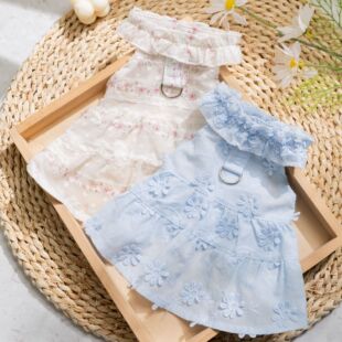 ���ļ�������Ů�黨�B��ȹ����ȹ؈�乷���·����_�����·�؈�·�